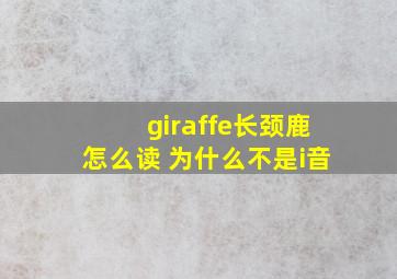 giraffe长颈鹿怎么读 为什么不是i音